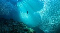 oceans - Class 8 - Quizizz