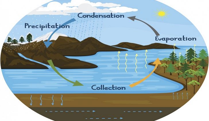 Science Boot Camp - Weather, Climate, Water Cycle | Quizizz