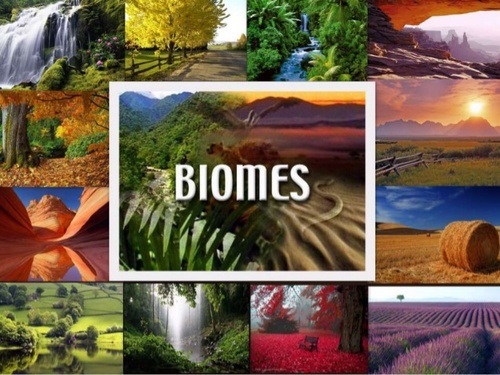 Biomes