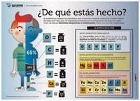 macromoléculas - Grado 1 - Quizizz