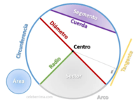 Desenhando Círculos - Série 6 - Questionário