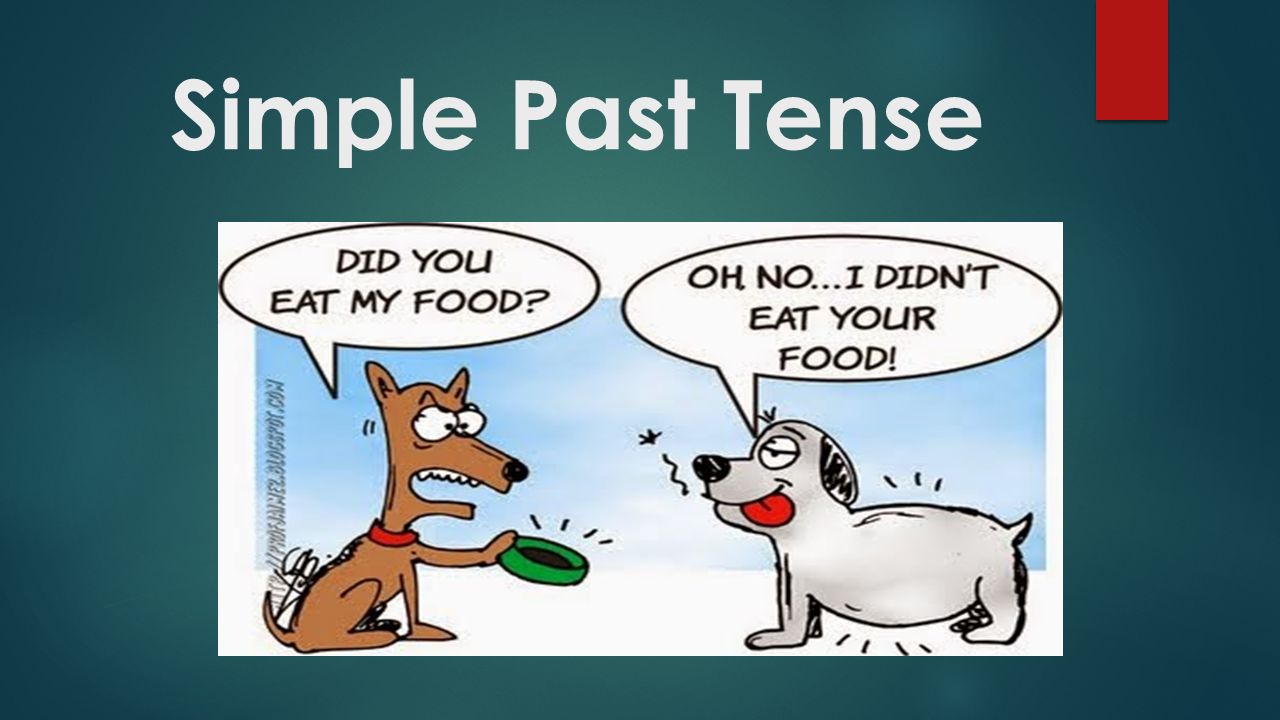 Past Tense Verbs - Grade 12 - Quizizz