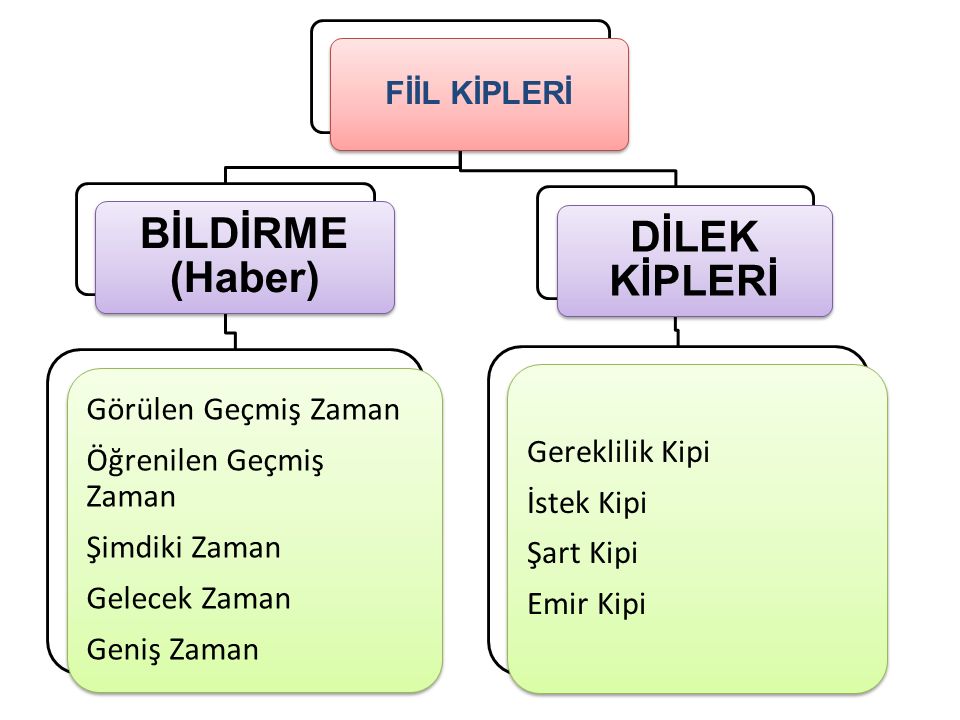 Fiilde Kipler | Quizizz