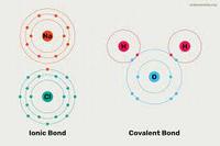 Polyatomic Ions - Year 6 - Quizizz