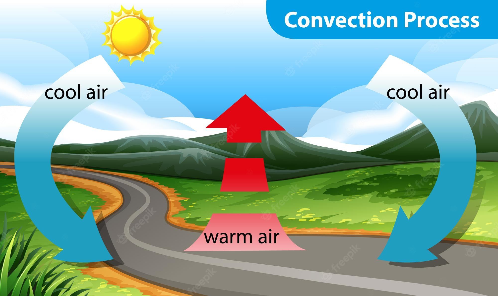 Making Connections in Nonfiction - Year 4 - Quizizz