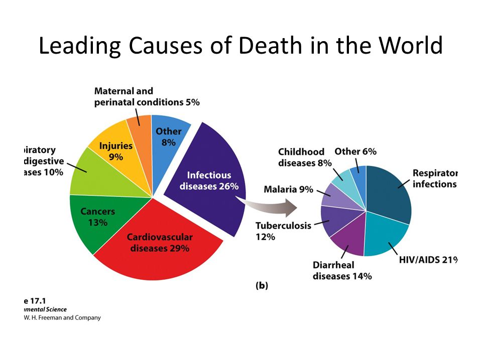 Second Leading Cause Of Mental Disability