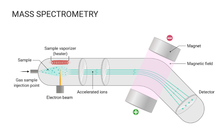 Mass Spectrometry and Finding Avg Atomic Mass