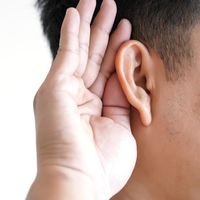 Hearing Digraphs - Year 9 - Quizizz