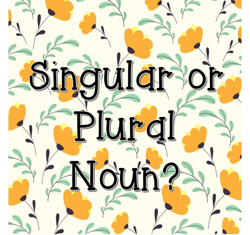 singular-or-plural-noun-english-quiz-quizizz