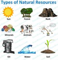 minerals and rocks - Class 1 - Quizizz