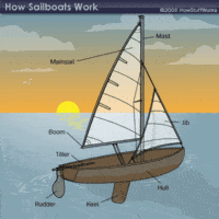 Fractions as Parts of a Whole - Year 12 - Quizizz