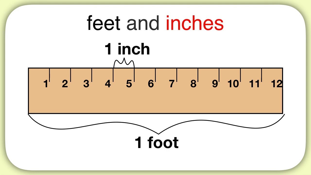 Measurement and Equivalence Flashcards - Quizizz