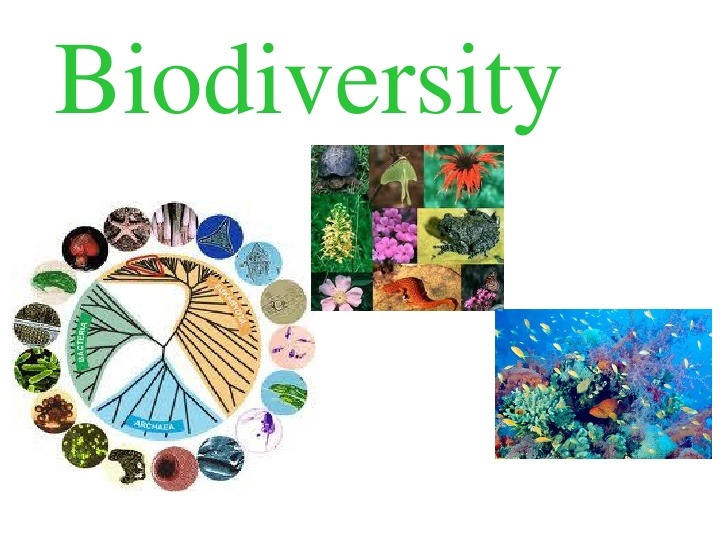 biodiversity-85-plays-quizizz