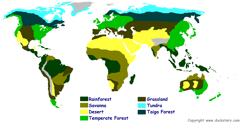 Temperate Forest VS Taiga VS Tundra