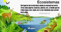 ecosistemas - Grado 12 - Quizizz