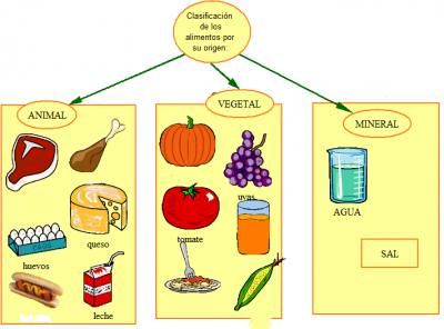 Alimento - Grado 3 - Quizizz