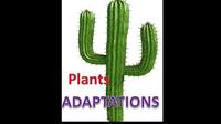 plant biology - Class 3 - Quizizz