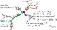 tổng hợp rna và protein - Lớp 12 - Quizizz