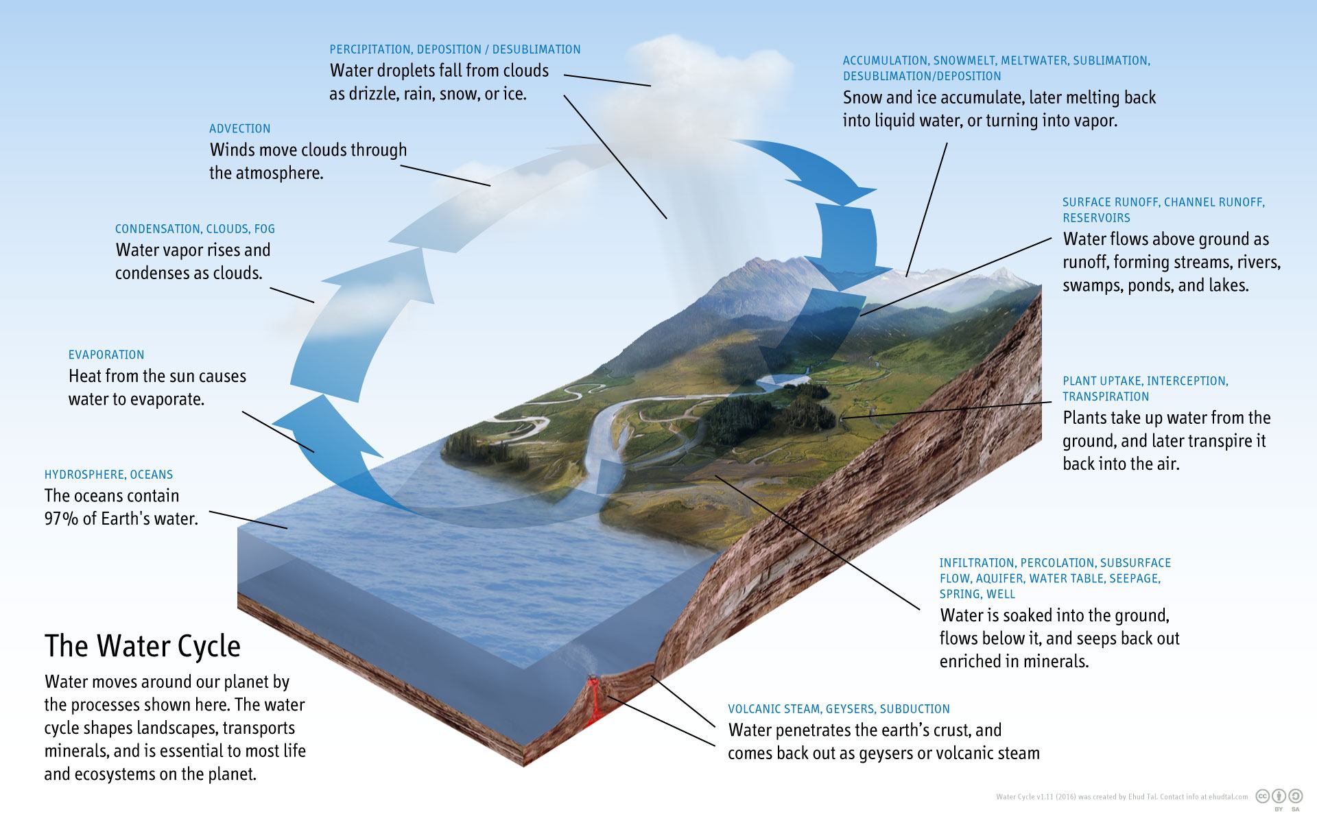 Water Cycle Quiz Science Quiz Quizizz