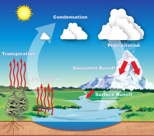 Water Location & Amounts | Earth Sciences Quiz - Quizizz