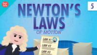 newtons third law - Class 9 - Quizizz