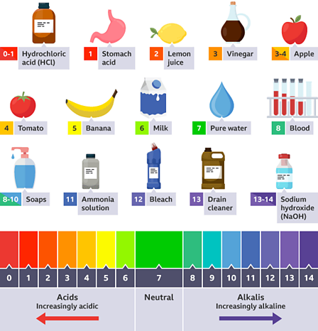 Acids and Alkalis KS3 | 208 plays | Quizizz