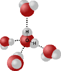 alkena dan alkuna - Kelas 11 - Kuis