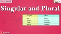 Irregular Plural Forms - Class 8 - Quizizz