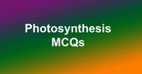 photosynthesis - Class 5 - Quizizz