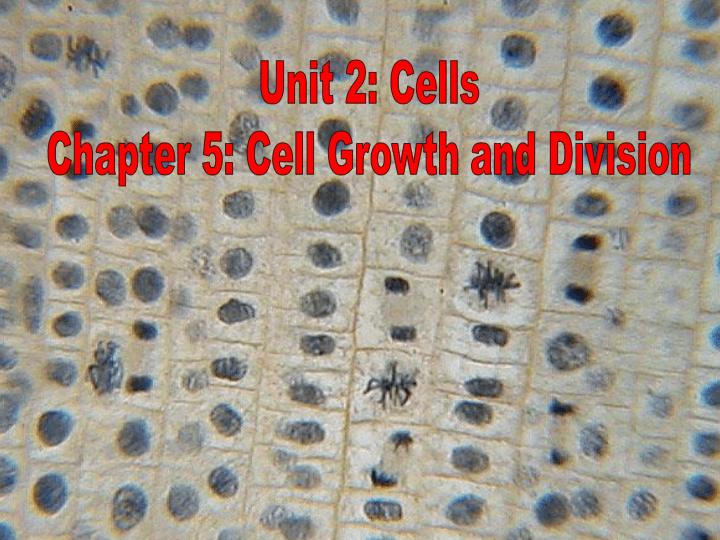 Chapter 5 Cell Growth And Division Science Quizizz