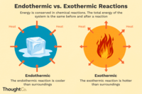 endothermic and exothermic processes - Grade 10 - Quizizz