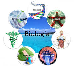 Quiz Biologia #quiz #biologia #perguntaserespostas #quizperguntas #qu