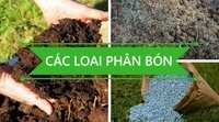 mô men xoắn và trạng thái cân bằng - Lớp 10 - Quizizz