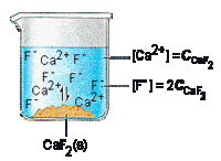 chemical equilibrium Flashcards - Quizizz