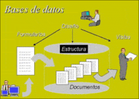 Visualización de datos - Grado 5 - Quizizz