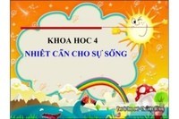 động vật có xương sống và động vật không xương sống - Lớp 4 - Quizizz