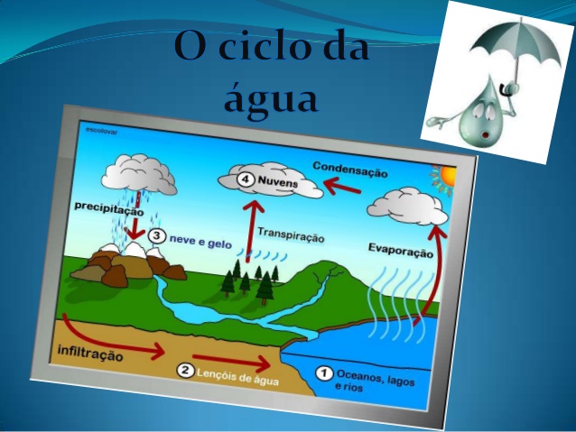 movimentos da água do oceano Flashcards - Questionário