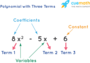 Polynomial Functions