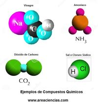 elementos y compuestos - Grado 10 - Quizizz