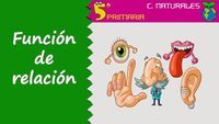 propiedades del carbono - Grado 5 - Quizizz