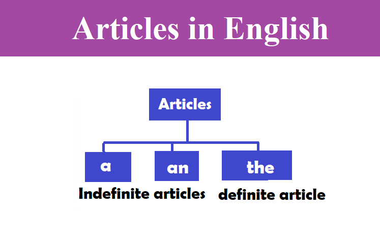 Articles - Class 4 - Quizizz