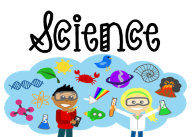 6th Grade Science Leap Review #3 | 300 plays | Quizizz