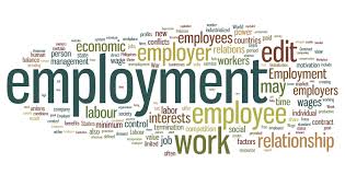 Employment Terms