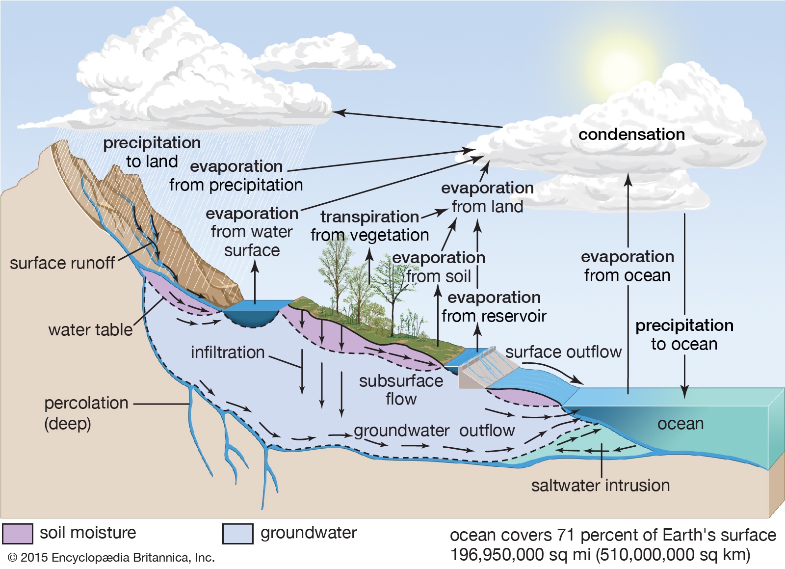 Water Cycle Quiz Answer Key