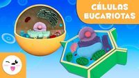 procariotas y eucariotas - Grado 3 - Quizizz