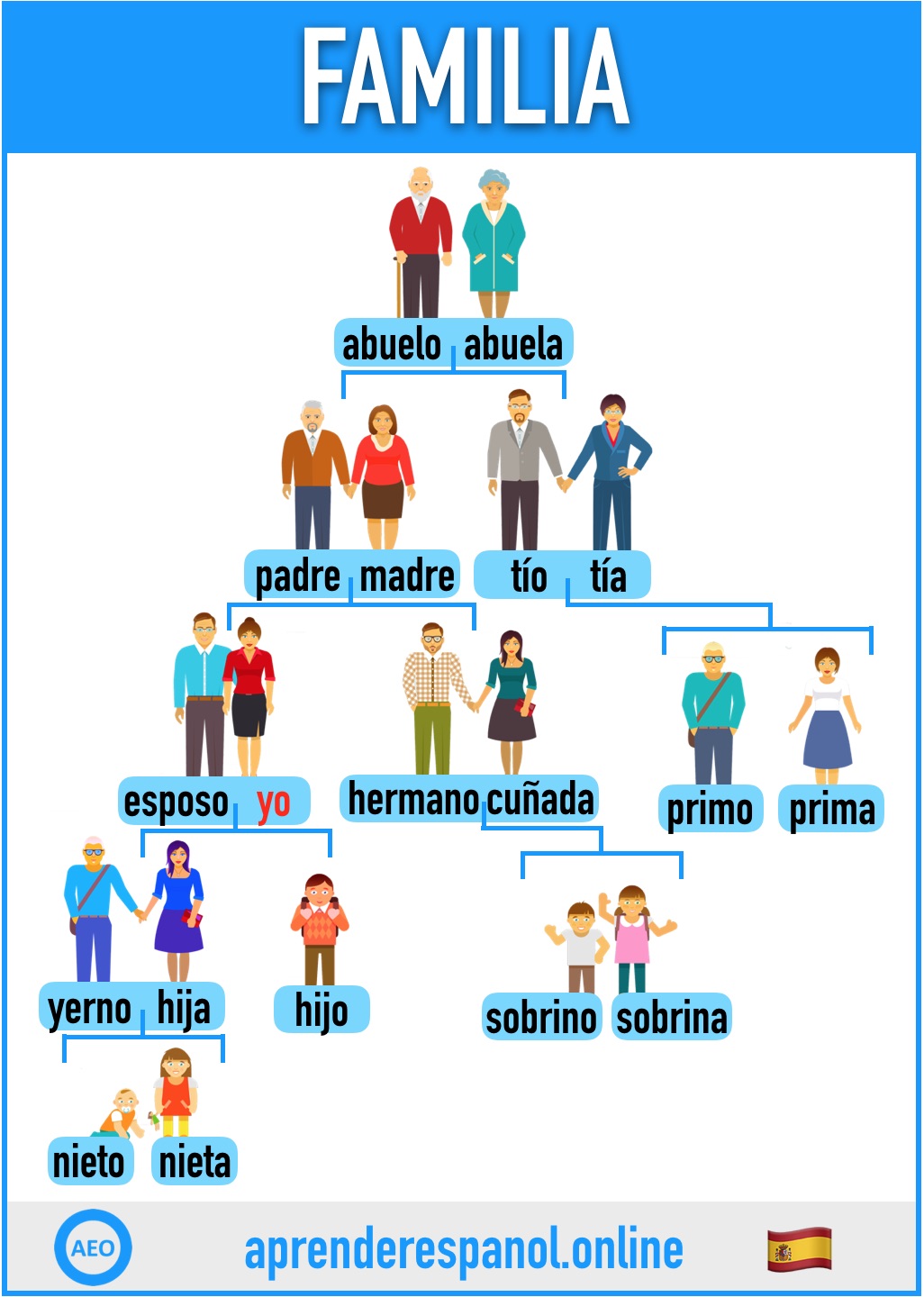 Relaciones proporcionales - Grado 11 - Quizizz