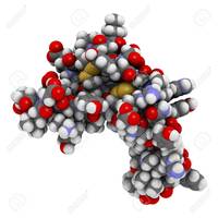 síntesis de arn y proteínas - Grado 6 - Quizizz