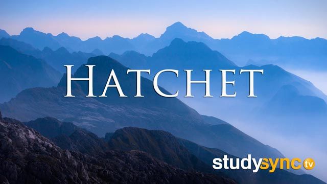 studysync-hatchet-quiz-6th-grade-quizizz