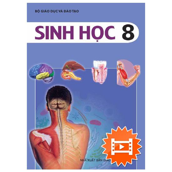 Sách Sinh Học 8: Tìm Hiểu Và Khám Phá Về Cơ Thể Người