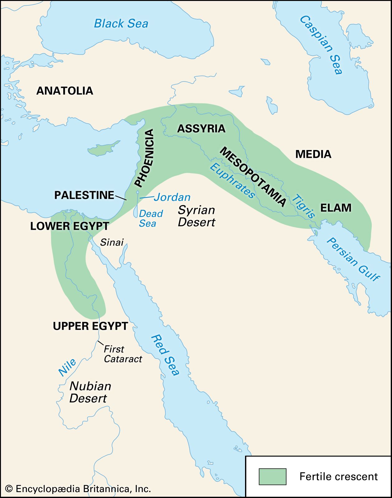 mesopotamia temprana - Grado 8 - Quizizz